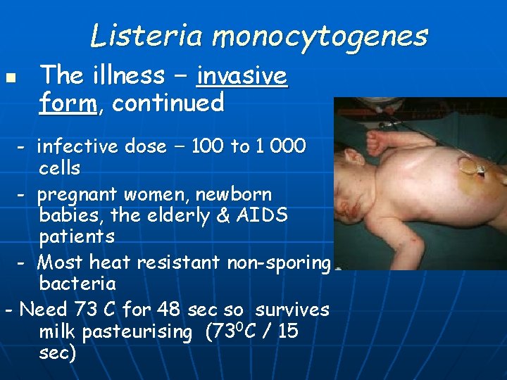 Listeria monocytogenes n The illness – invasive form, continued - infective dose – 100