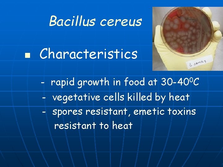 Bacillus cereus n Characteristics - rapid growth in food at 30 -400 C -