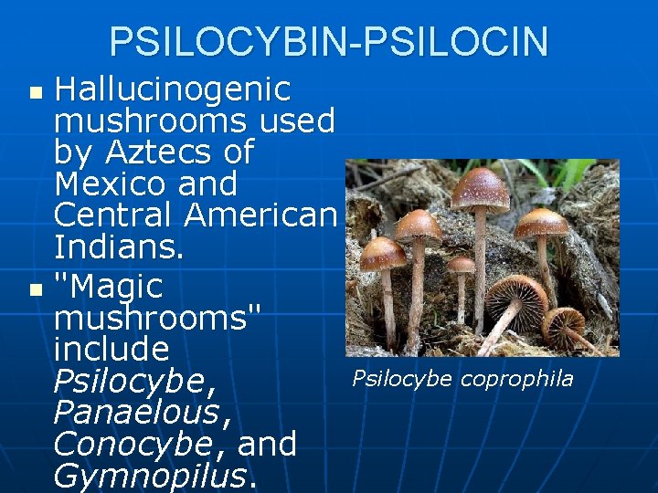 PSILOCYBIN-PSILOCIN Hallucinogenic mushrooms used by Aztecs of Mexico and Central American Indians. n "Magic
