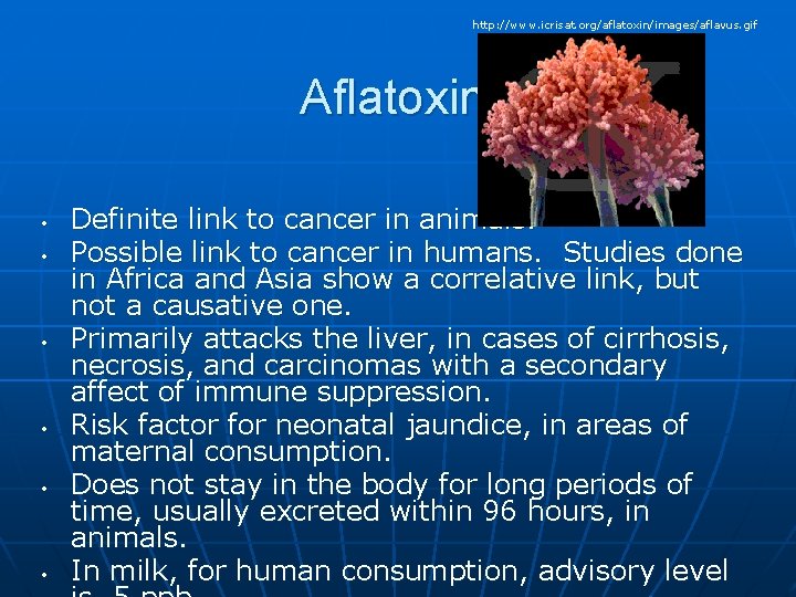 http: //www. icrisat. org/aflatoxin/images/aflavus. gif Aflatoxin B-1 • • • Definite link to cancer