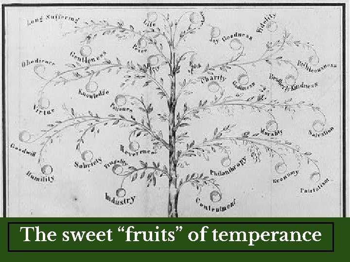 The sweet “fruits” of temperance 