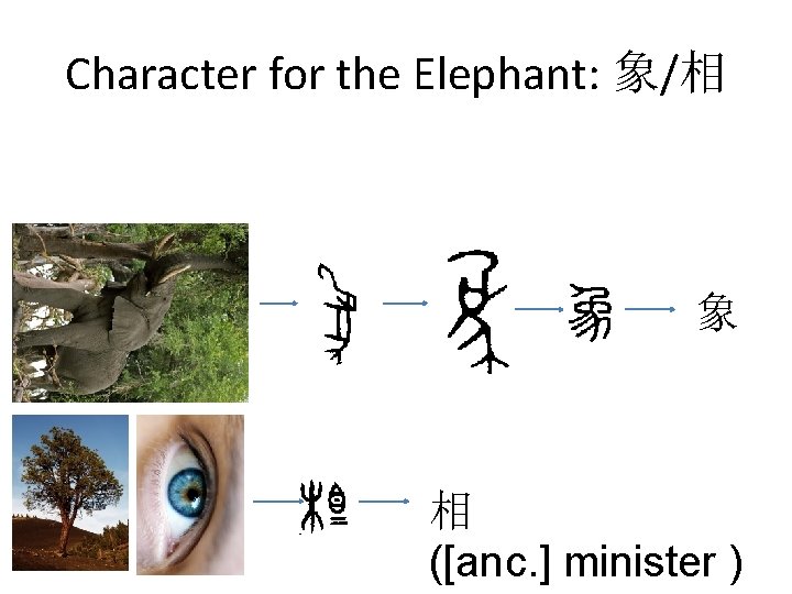 Character for the Elephant: 象/相 象 相 ([anc. ] minister ) 