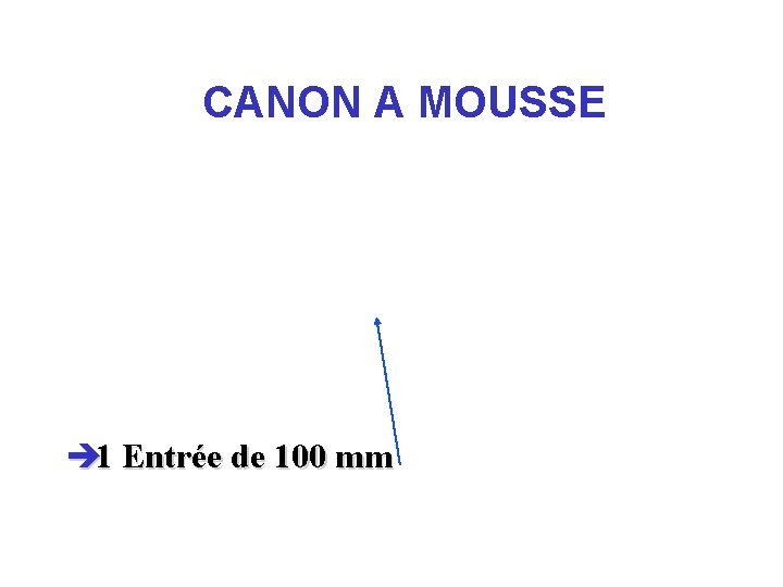 CANON A MOUSSE è 1 Entrée de 100 mm 