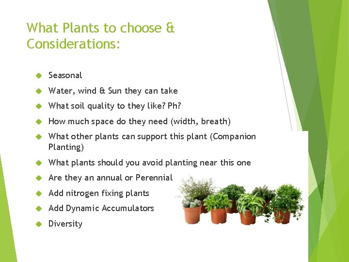 What Plants to choose & Considerations: Seasonal Water, wind & Sun they can take