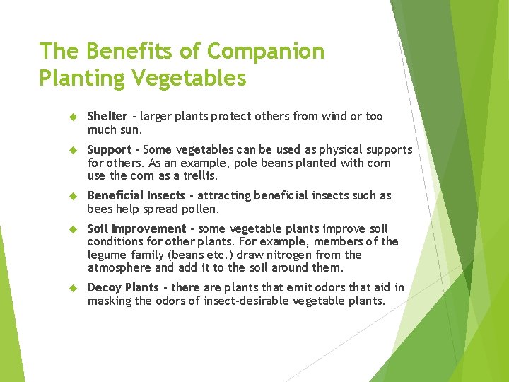 The Benefits of Companion Planting Vegetables Shelter - larger plants protect others from wind