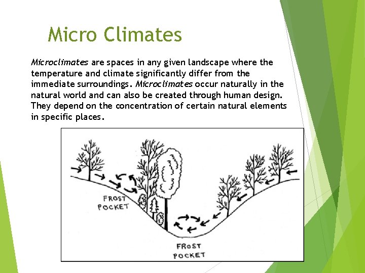 Micro Climates Microclimates are spaces in any given landscape where the temperature and climate