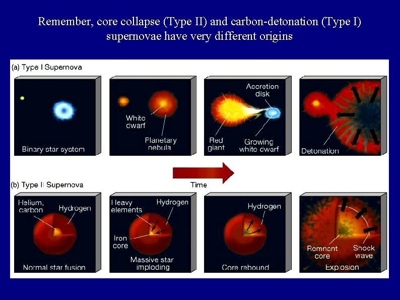 Remember, core collapse (Type II) and carbon-detonation (Type I) supernovae have very different origins