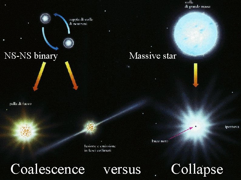 NS-NS binary Coalescence Massive star versus Collapse 