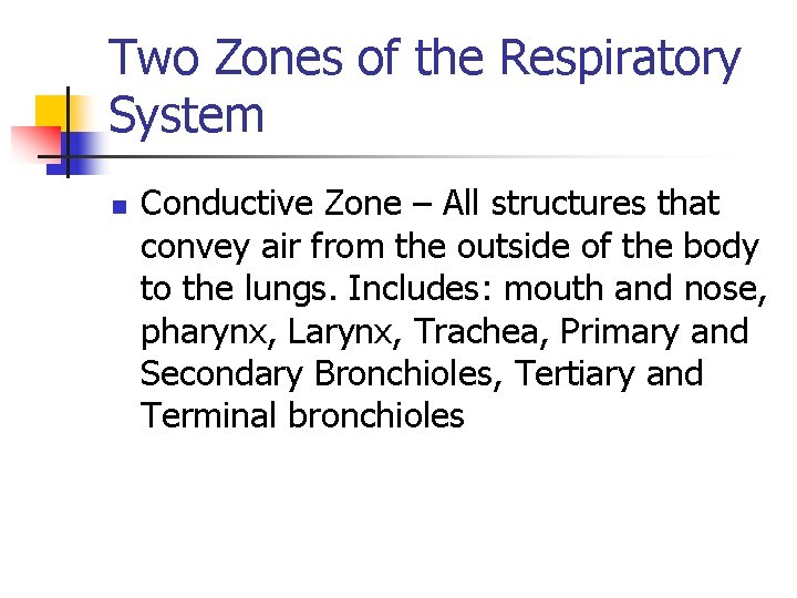 Two Zones of the Respiratory System n Conductive Zone – All structures that convey