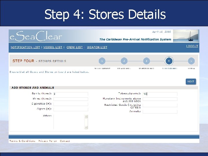 Step 4: Stores Details 