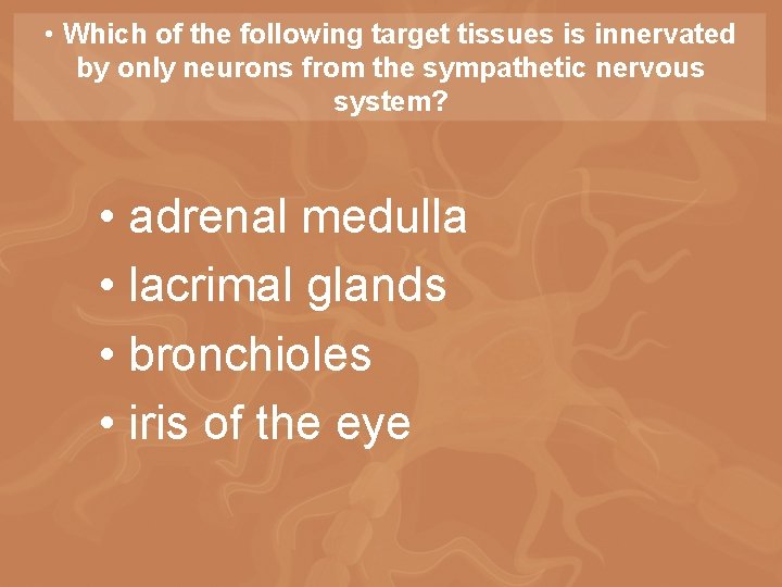  • Which of the following target tissues is innervated by only neurons from