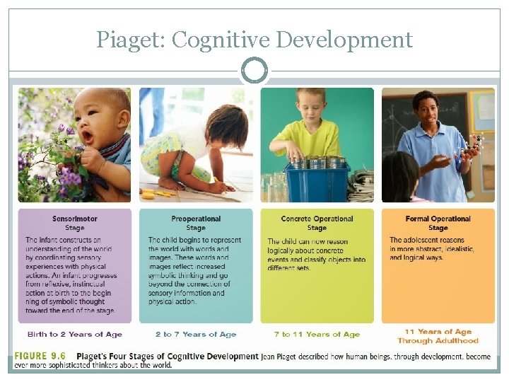 Piaget: Cognitive Development 