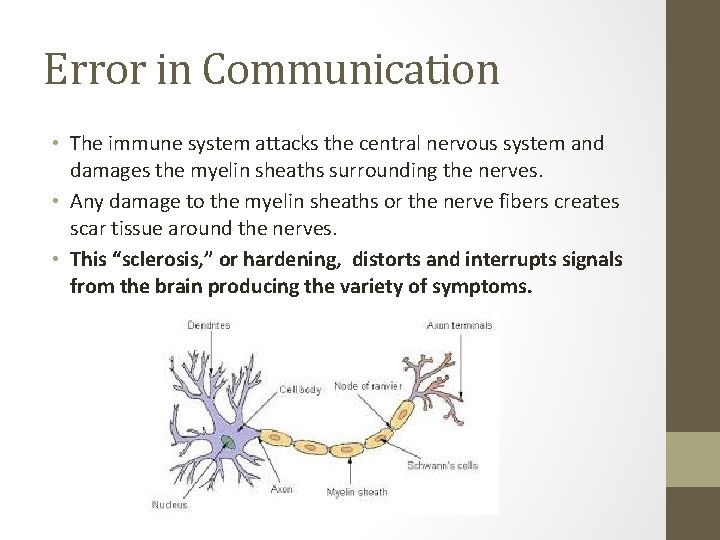 Error in Communication • The immune system attacks the central nervous system and damages