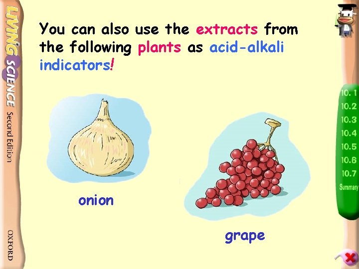 You can also use the extracts from the following plants as acid-alkali indicators! onion