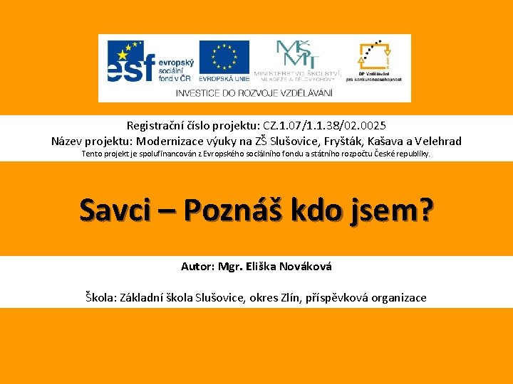 Registrační číslo projektu: CZ. 1. 07/1. 1. 38/02. 0025 Název projektu: Modernizace výuky na