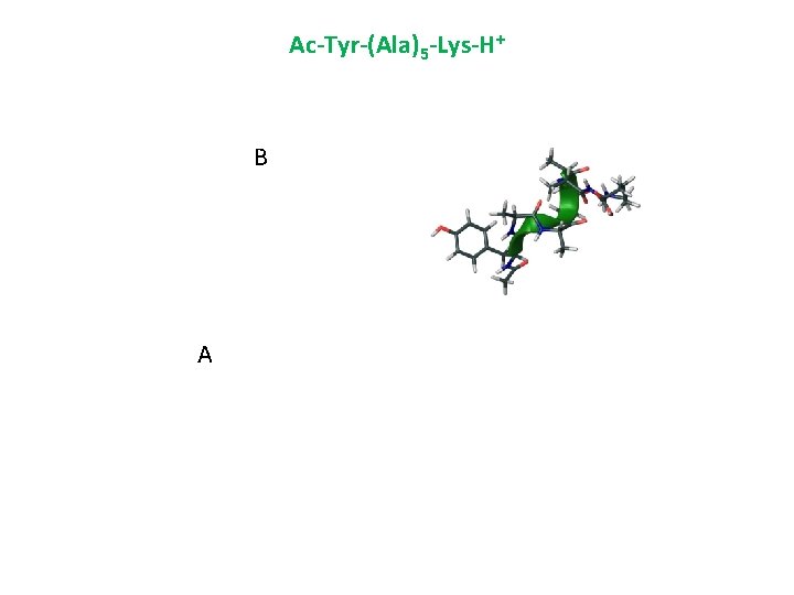 Ac-Tyr-(Ala)5 -Lys-H+ B A 