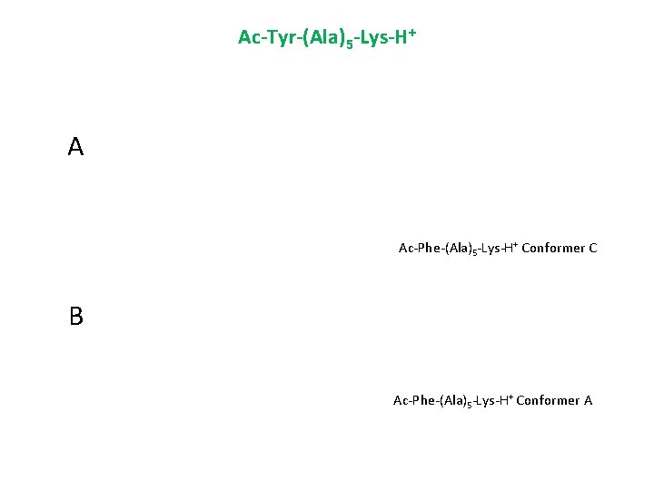 Ac-Tyr-(Ala)5 -Lys-H+ A Ac-Phe-(Ala)5 -Lys-H+ Conformer C B Ac-Phe-(Ala)5 -Lys-H+ Conformer A 