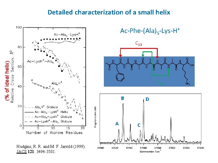 Detailed characterization of a small helix Ac-Phe-(Ala)5 -Lys-H+ (% of ideal helix) C 13
