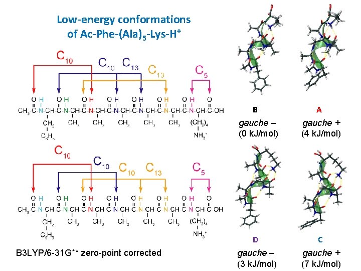 Low-energy conformations of Ac-Phe-(Ala)5 -Lys-H+ B gauche – (0 k. J/mol) B 3 LYP/6