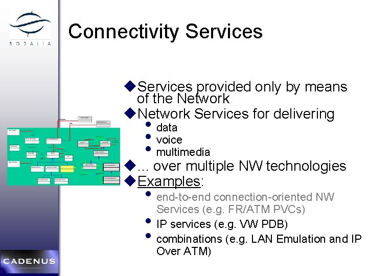 Connectivity Services u. Services provided only by means of the Network u. Network Services