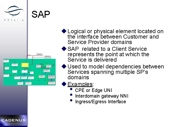 SAP * * u Logical or physical element located on the interface between Customer