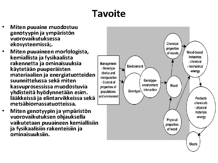 Tavoite • Miten puuaine muodostuu genotyypin ja ympäristön vuorovaikutuksessa ekosysteemissä; . • Miten puuaineen Tavoite • Miten puuaine muodostuu genotyypin ja ympäristön vuorovaikutuksessa ekosysteemissä; . • Miten puuaineen