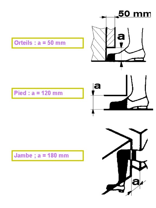 Orteils : a = 50 mm Pied : a = 120 mm Jambe ;