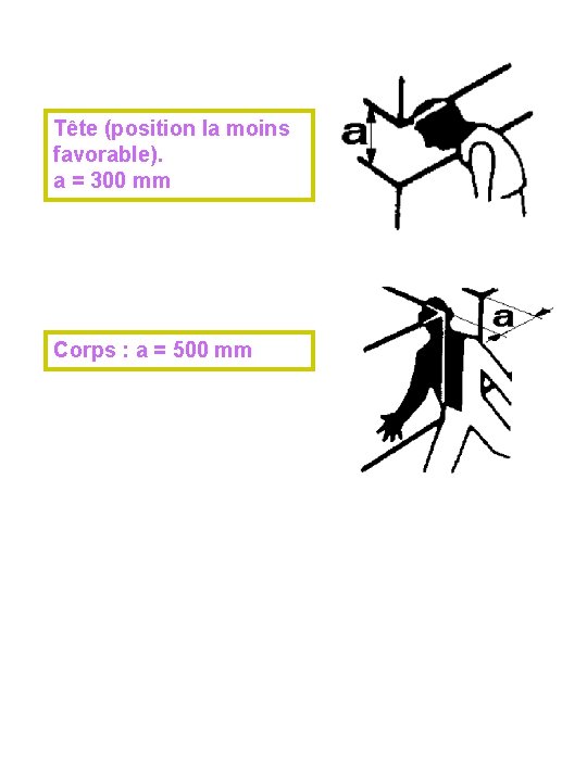 Tête (position la moins favorable). a = 300 mm Corps : a = 500