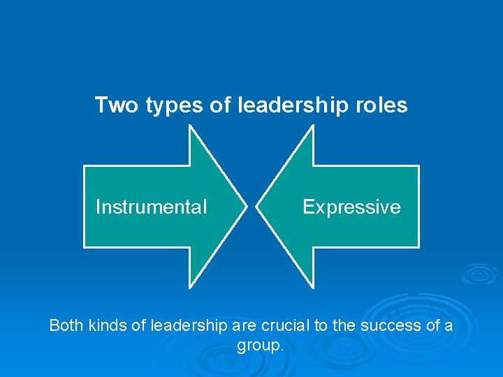 Two types of leadership roles Instrumental Expressive Both kinds of leadership are crucial to Two types of leadership roles Instrumental Expressive Both kinds of leadership are crucial to