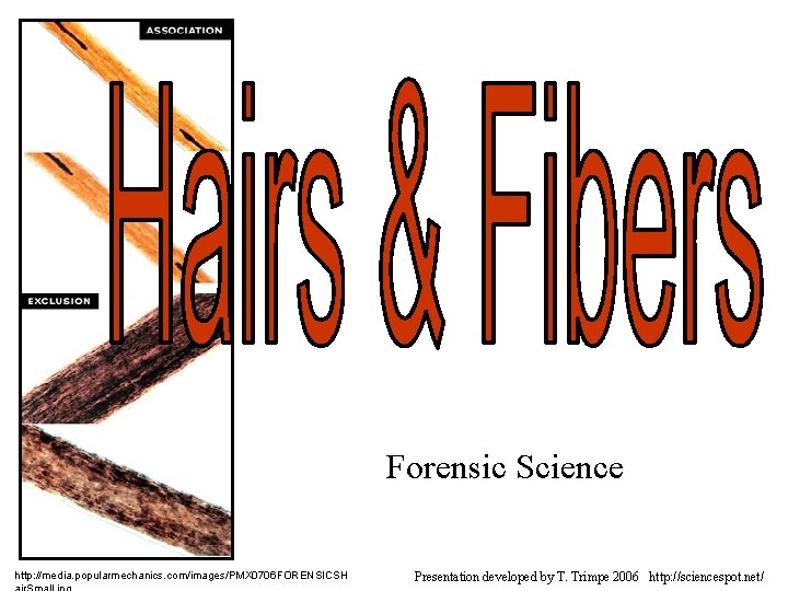 Forensic Science http: //media. popularmechanics. com/images/PMX 0706 FORENSICSH Presentation developed by T. Trimpe 2006 Forensic Science http: //media. popularmechanics. com/images/PMX 0706 FORENSICSH Presentation developed by T. Trimpe 2006