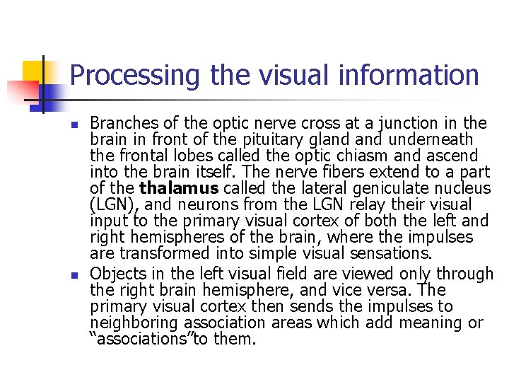 Processing the visual information n n Branches of the optic nerve cross at a
