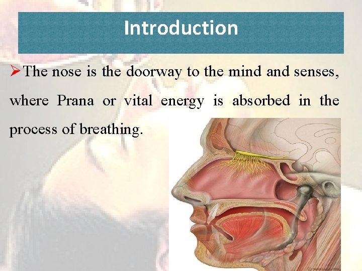Introduction ØThe nose is the doorway to the mind and senses, where Prana or