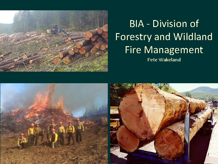 BIA - Division of Forestry and Wildland Fire Management Pete Wakeland 