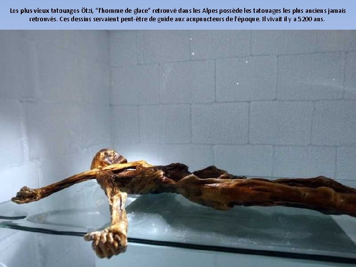 Les plus vieux tatouages Ötzi, "l'homme de glace" retrouvé dans les Alpes possède les