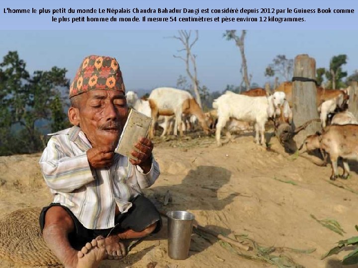 L'homme le plus petit du monde Le Népalais Chandra Bahadur Dangi est considéré depuis