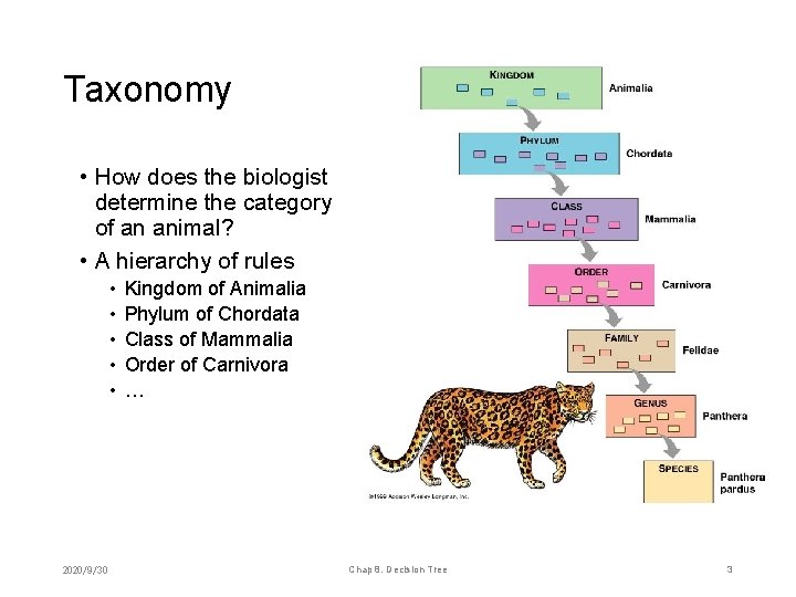 Taxonomy • How does the biologist determine the category of an animal? • A