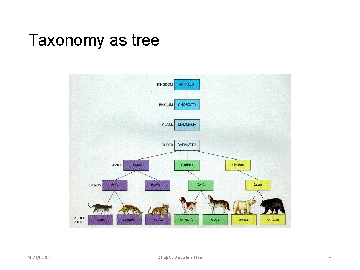 Taxonomy as tree 2020/9/30 Chap 8. Decision Tree 4 