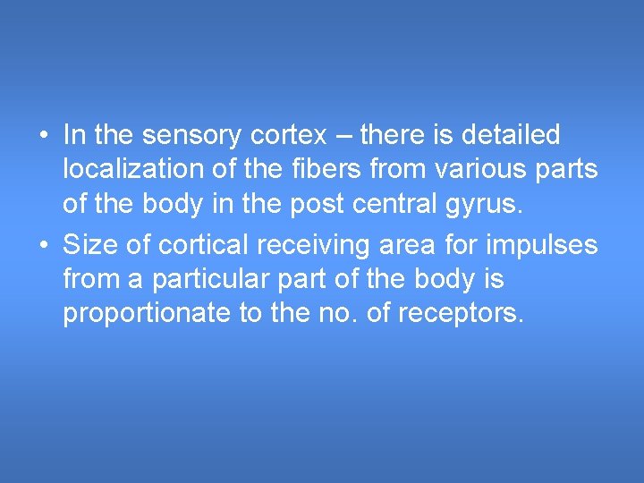  • In the sensory cortex – there is detailed localization of the fibers
