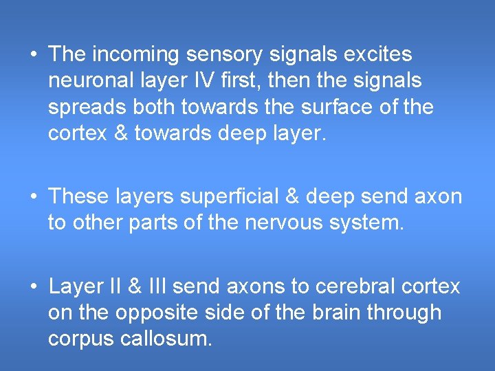  • The incoming sensory signals excites neuronal layer IV first, then the signals