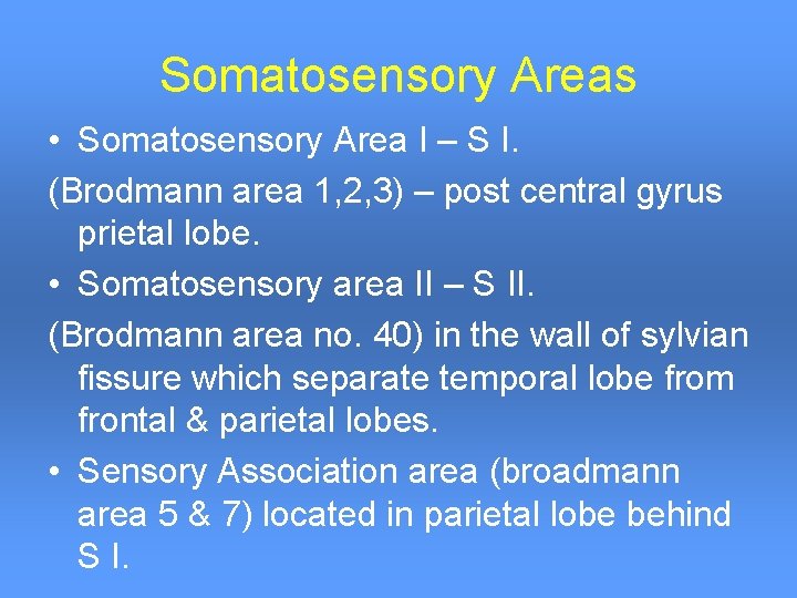 Somatosensory Areas • Somatosensory Area I – S I. (Brodmann area 1, 2, 3)