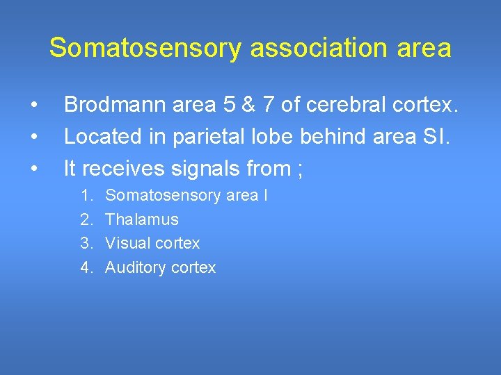 Somatosensory association area • • • Brodmann area 5 & 7 of cerebral cortex.
