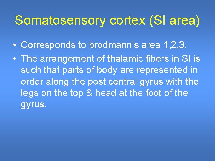 Somatosensory cortex (SI area) • Corresponds to brodmann’s area 1, 2, 3. • The