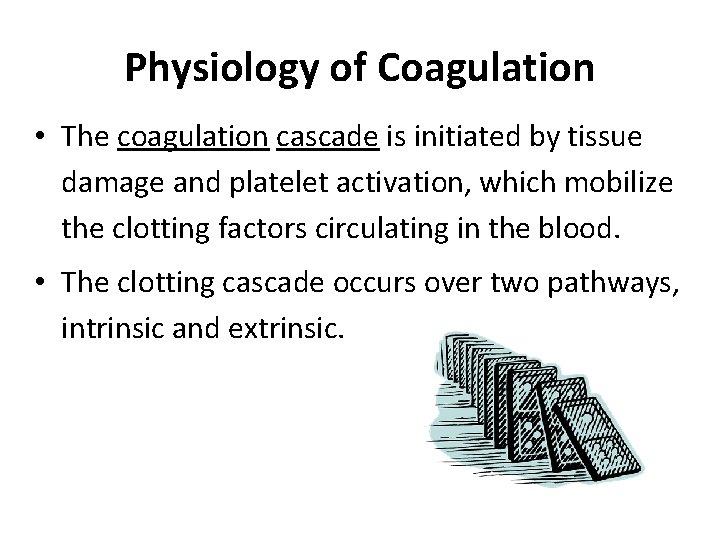 Physiology of Coagulation • The coagulation cascade is initiated by tissue damage and platelet