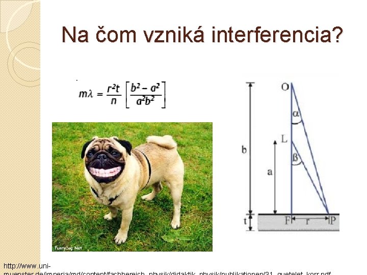 Na čom vzniká interferencia? http: //www. uni- 