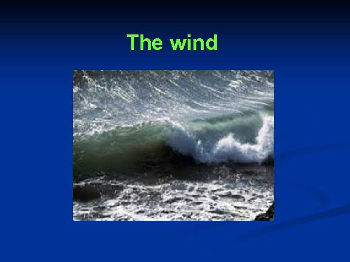 The wind 