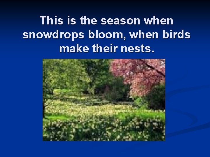 This is the season when snowdrops bloom, when birds make their nests. 