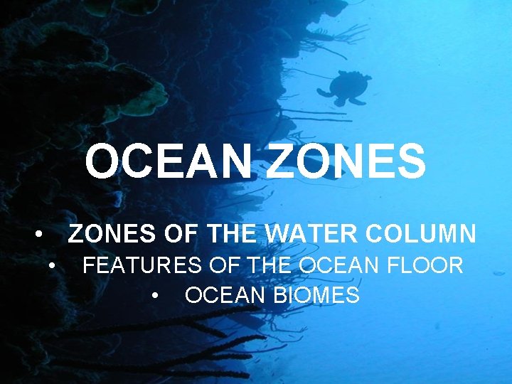 OCEAN ZONES • ZONES OF THE WATER COLUMN • FEATURES OF THE OCEAN FLOOR