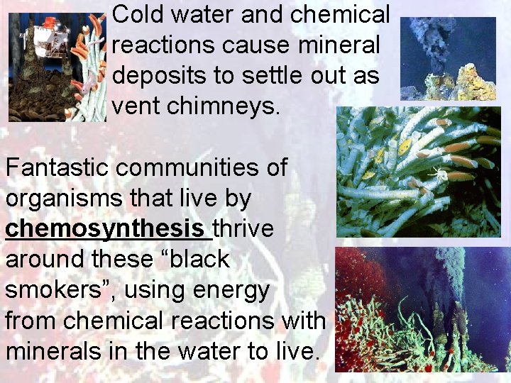 Cold water and chemical reactions cause mineral deposits to settle out as vent chimneys.