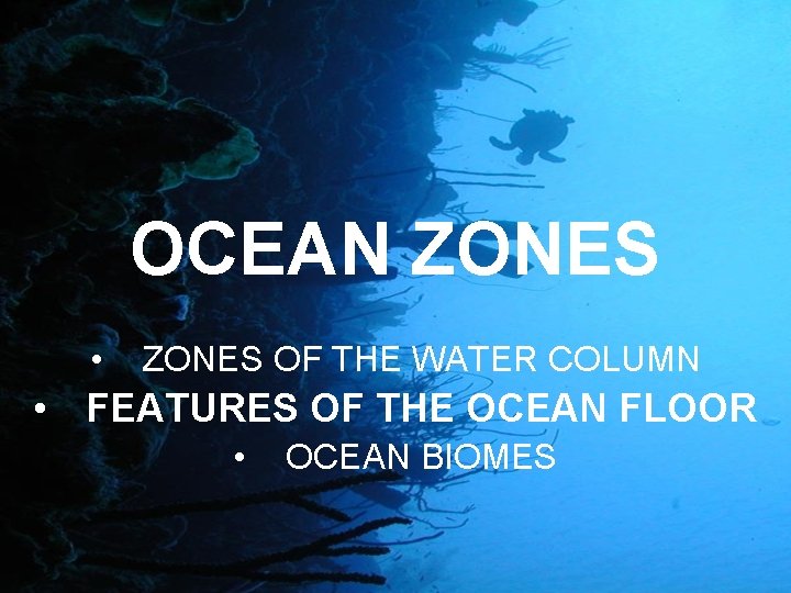 OCEAN ZONES • ZONES OF THE WATER COLUMN • FEATURES OF THE OCEAN FLOOR