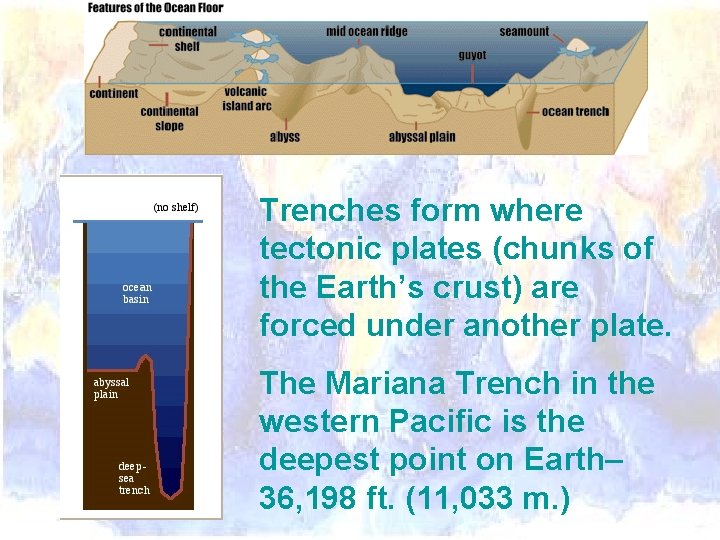 Trenches form where tectonic plates (chunks of the Earth’s crust) are forced under another